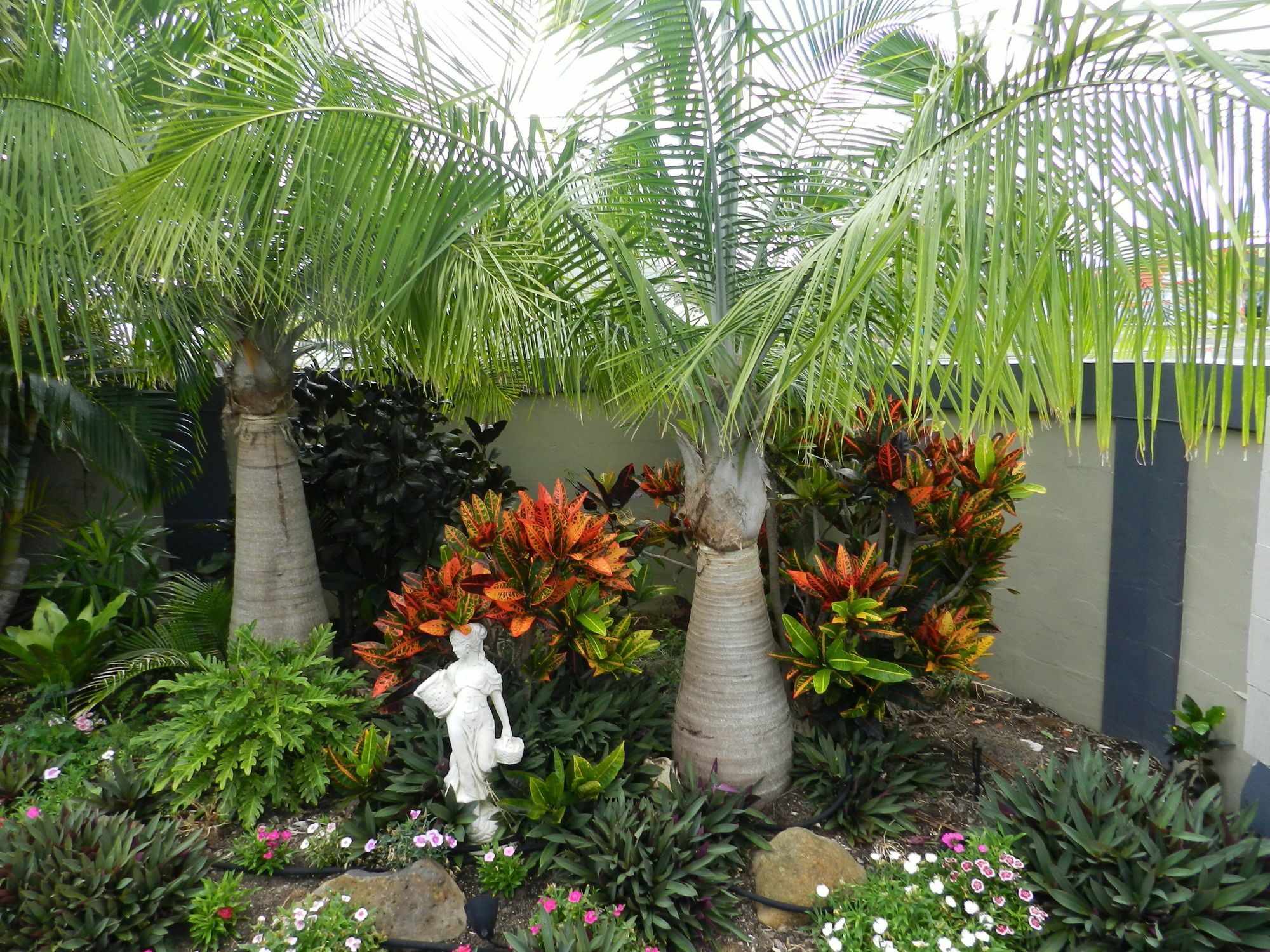 Golden Palms Motor Inn Bundaberg Zewnętrze zdjęcie